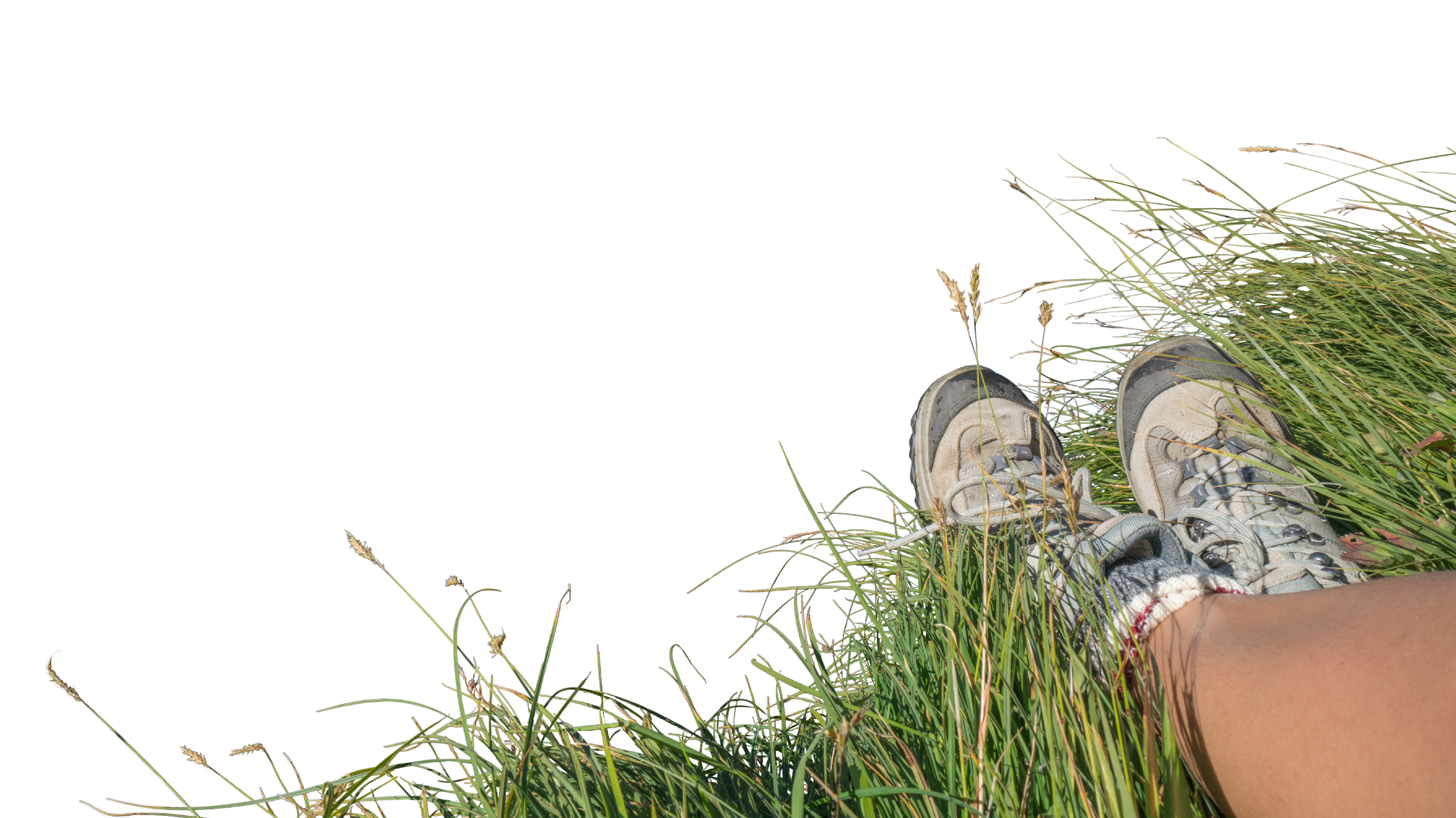 Schuhe im Gras
